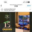 가나리조트주 이미지