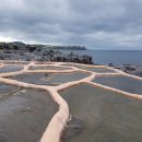 우리 함께 살기 위하여 이미지