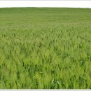 낙안농장 이미지