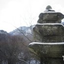 계룡산자연사박물관 이미지