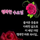 5월 이미지
