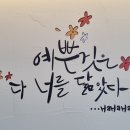 담 넘어 이미지
