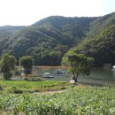 백야자연휴양림 이미지