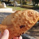 자스실용음악학원 이미지