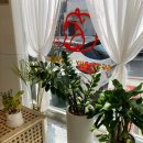 컴바이디저트 이미지