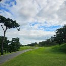 비에이비스타CC | 경기도 골프장 비에이비스타CC LAGO코스 골프라운딩 후기