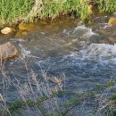 천천장천로 이미지