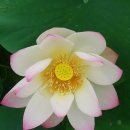 민화교실 이미지