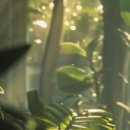 아이누리한의원 광명점 이미지