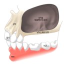 우가주치과병원 이미지