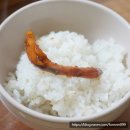 팔도건어물 | 팔도수산 반건조오징어 버터구이 볶음 피데기 건어물 안주추천