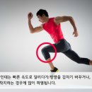 전방십자인대파열과 일상생활 복귀 이미지