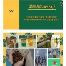 과라나코리아