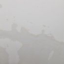 동림페인트 이미지