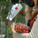 두레농장 이미지