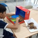 Primary 3 students -Diorama-making 이미지