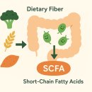 청주가장큰약국 이미지