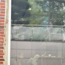 다운트 | 소금빵은 커피가 아니라 맥주랑도 어울린다🍺 다운트 빌리지 또간집 후기