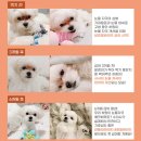 블링이네 건강마켓 이미지