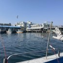 광호목장 | 아이랑 강원도 여행, 장사항 속초동광호배낚시체험 입문