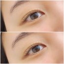 블랙스완래쉬 이미지