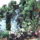 돌꽃향기 날리며 이미지