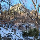 석굴암 천룡도 이미지