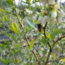 수림꽃농원 이미지