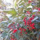 통영양지펜션 이미지