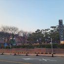 대구박물관 이미지