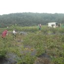 봉림농장 이미지