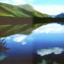 (주)순녹 이미지