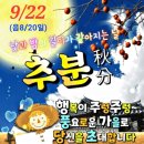 커피한라