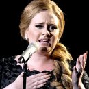 아델(adele)