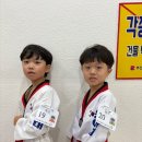 도선체육관 이미지