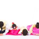 닥터파파동물병원 이미지