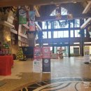 롯데워터파크(스파) | 김해 장유 롯데워터파크 겨울시즌 방문 후기｜유아랑 가기엔 오히려 더 좋았던 이유