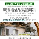 솔터이비인후과의원 이미지