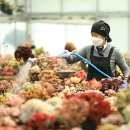 무주화원 이미지