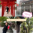 일본여행 이심 추천 후쿠오카 데이터 무제한 이심 후기 올라플라이