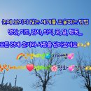 조율