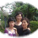 경옥 이미지