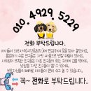 다온멍스쿨 이미지