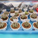 은광작은도서관 이미지