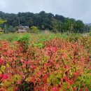 행현2리 마을회관 이미지