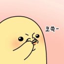 디앤제이디자인