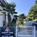 해피독 애견펜션2 이미지