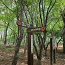 임학공원(임학정) 이미지