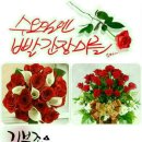 멋진하루 이미지