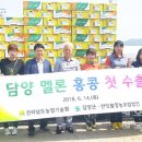 담양 반딧불 네이버블로그
